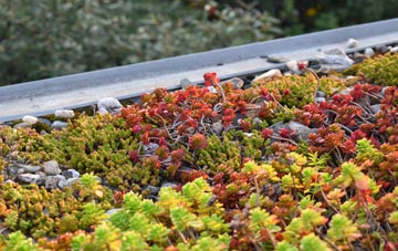 the cost of Lower Basildon green roof installation
