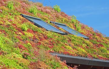 Lower Basildon living roof systems