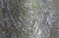 Lower Basildon fibreglass roof work